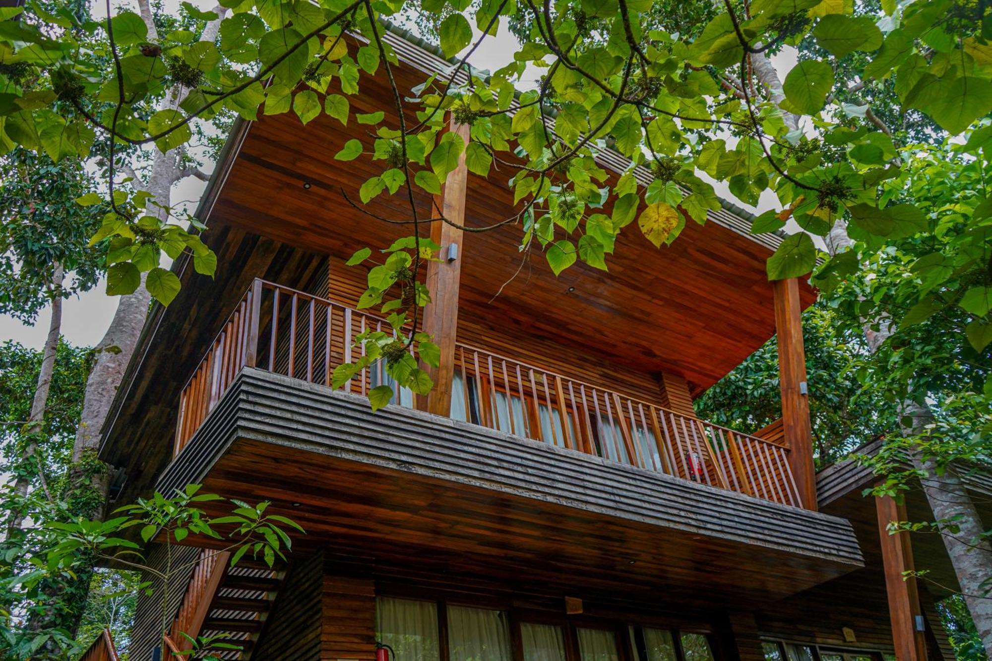 De Foret Elephant Beach Экстерьер фото